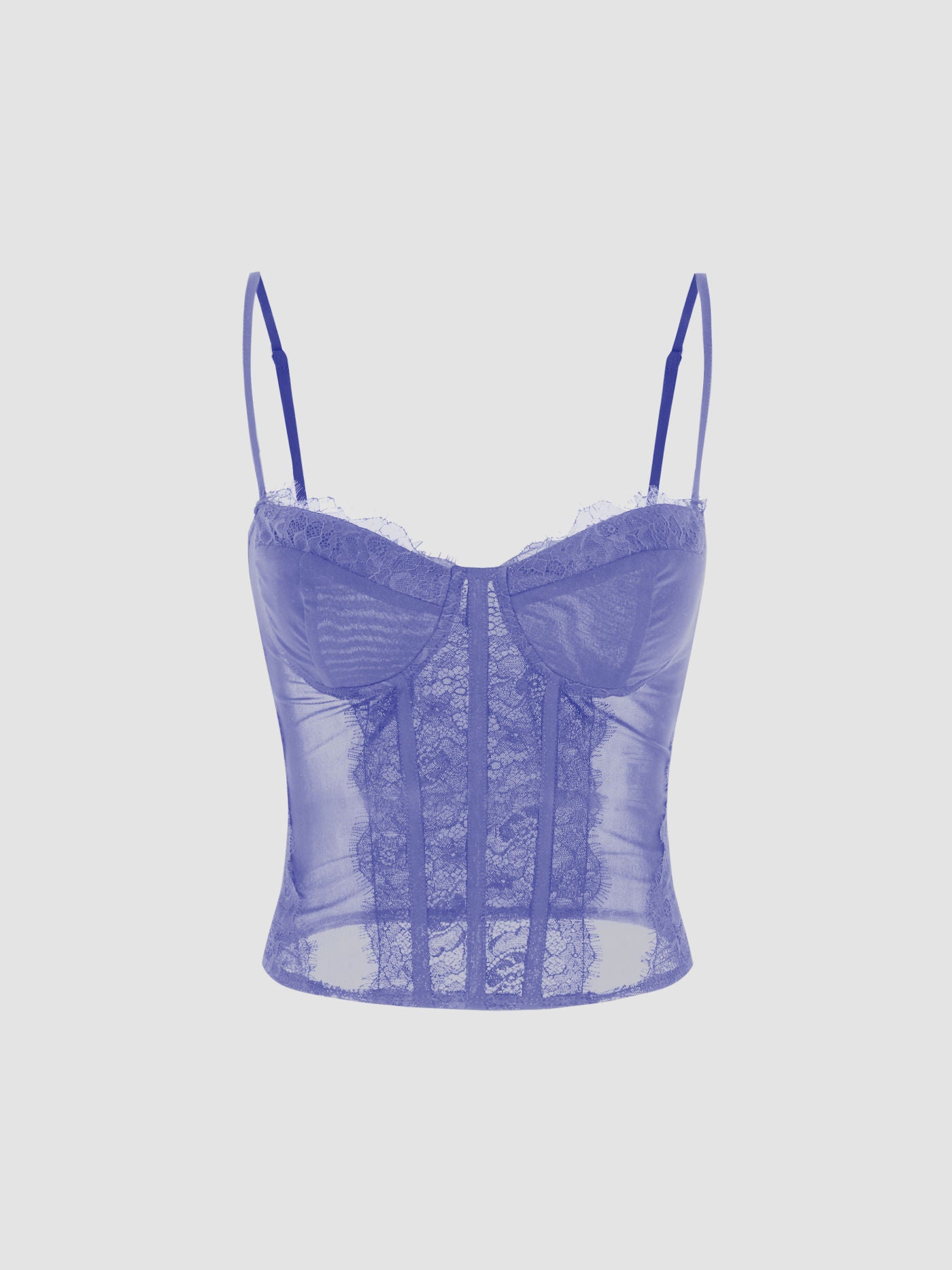Cider Mesh Lace Bustier Top