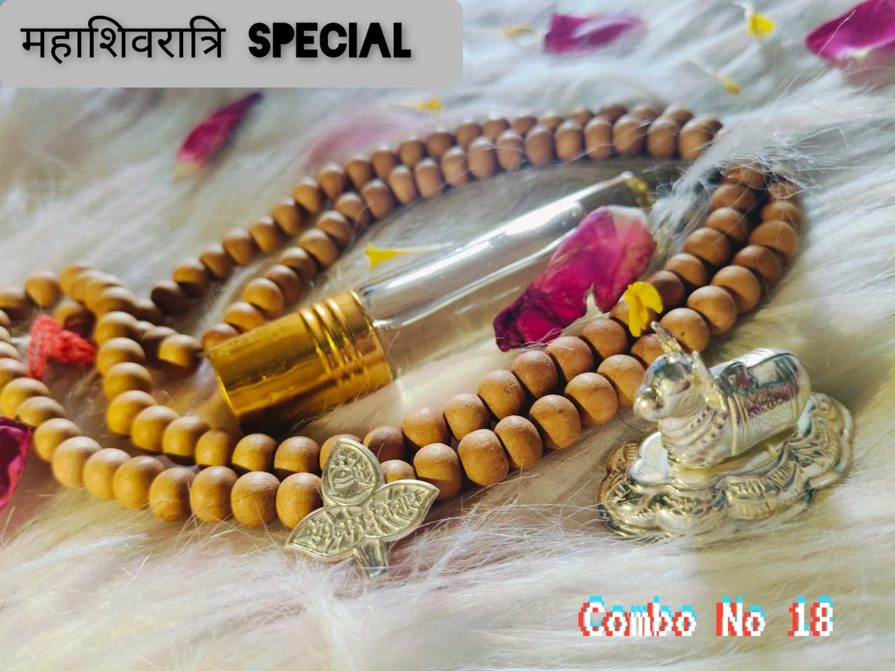 Mahashivratri Special – Shiv Ji Puja Combo Kit
