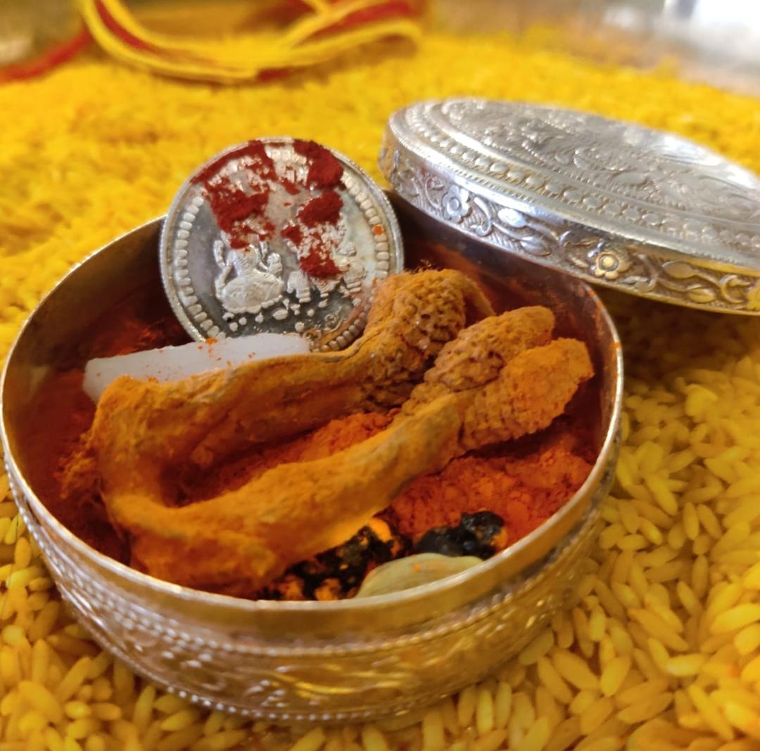 Hatthajodi