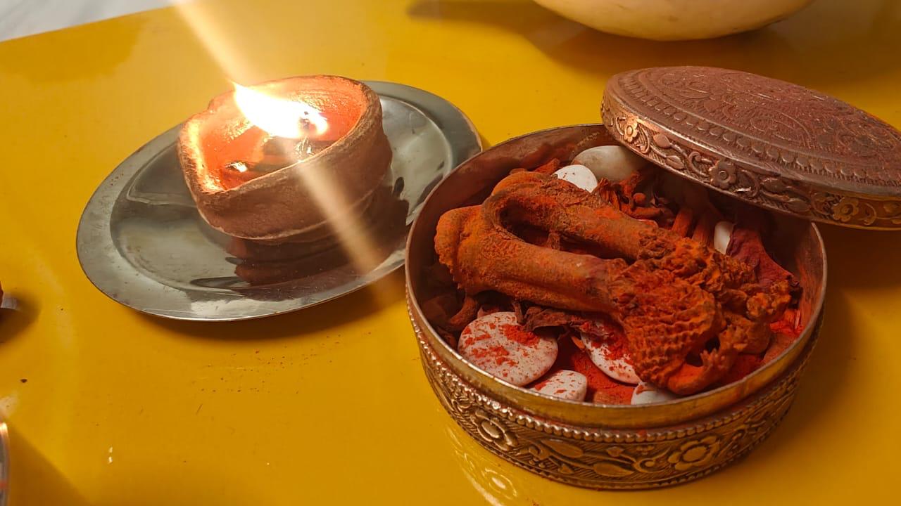 Hatthajodi