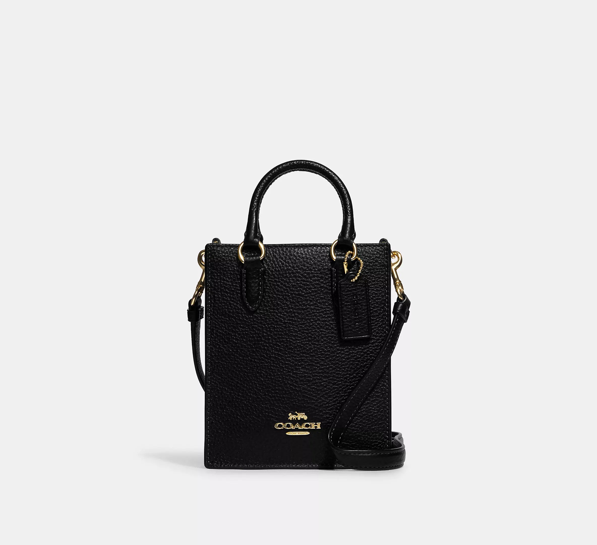 Coach North South Mini Tote