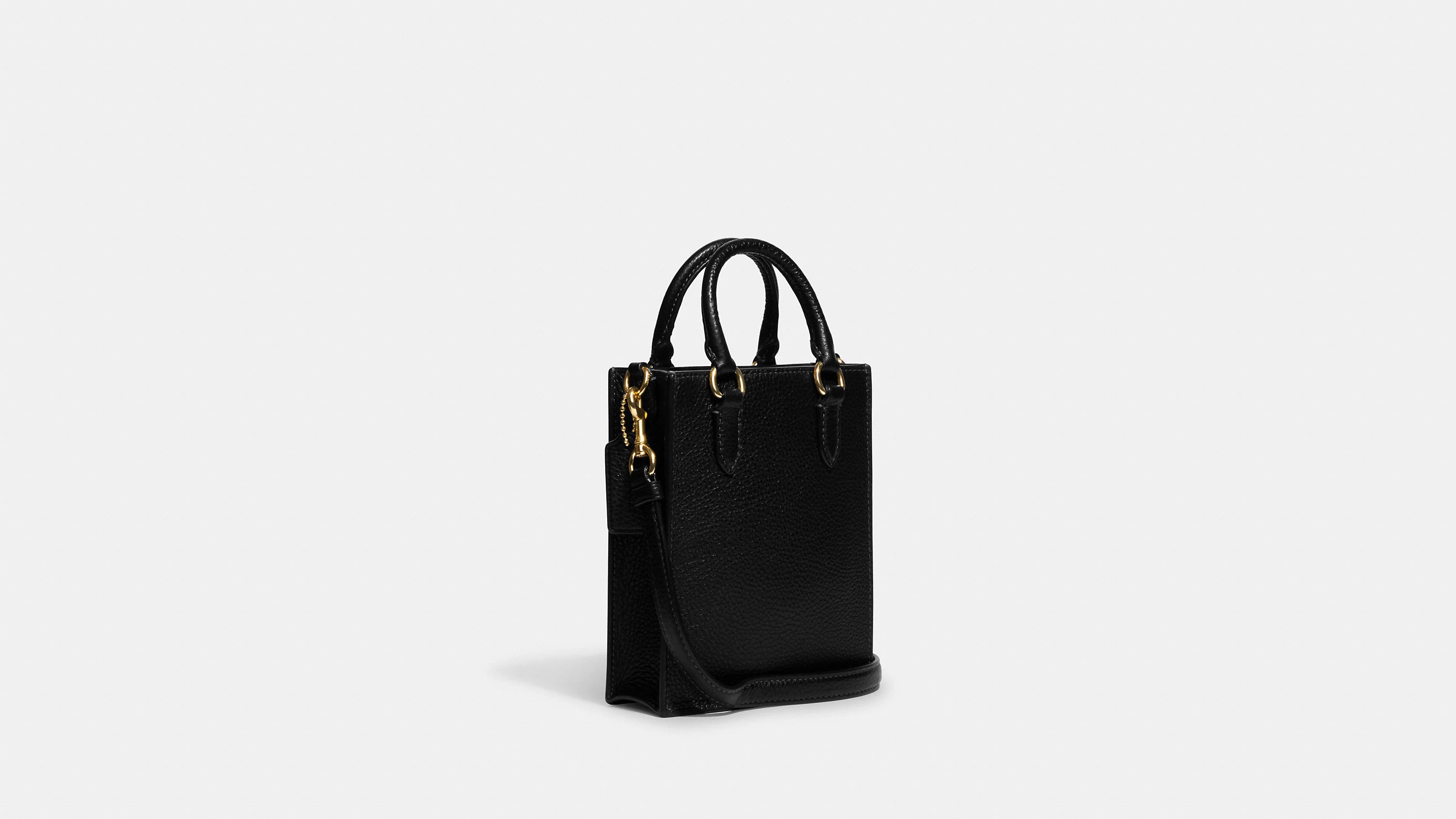 Coach North South Mini Tote