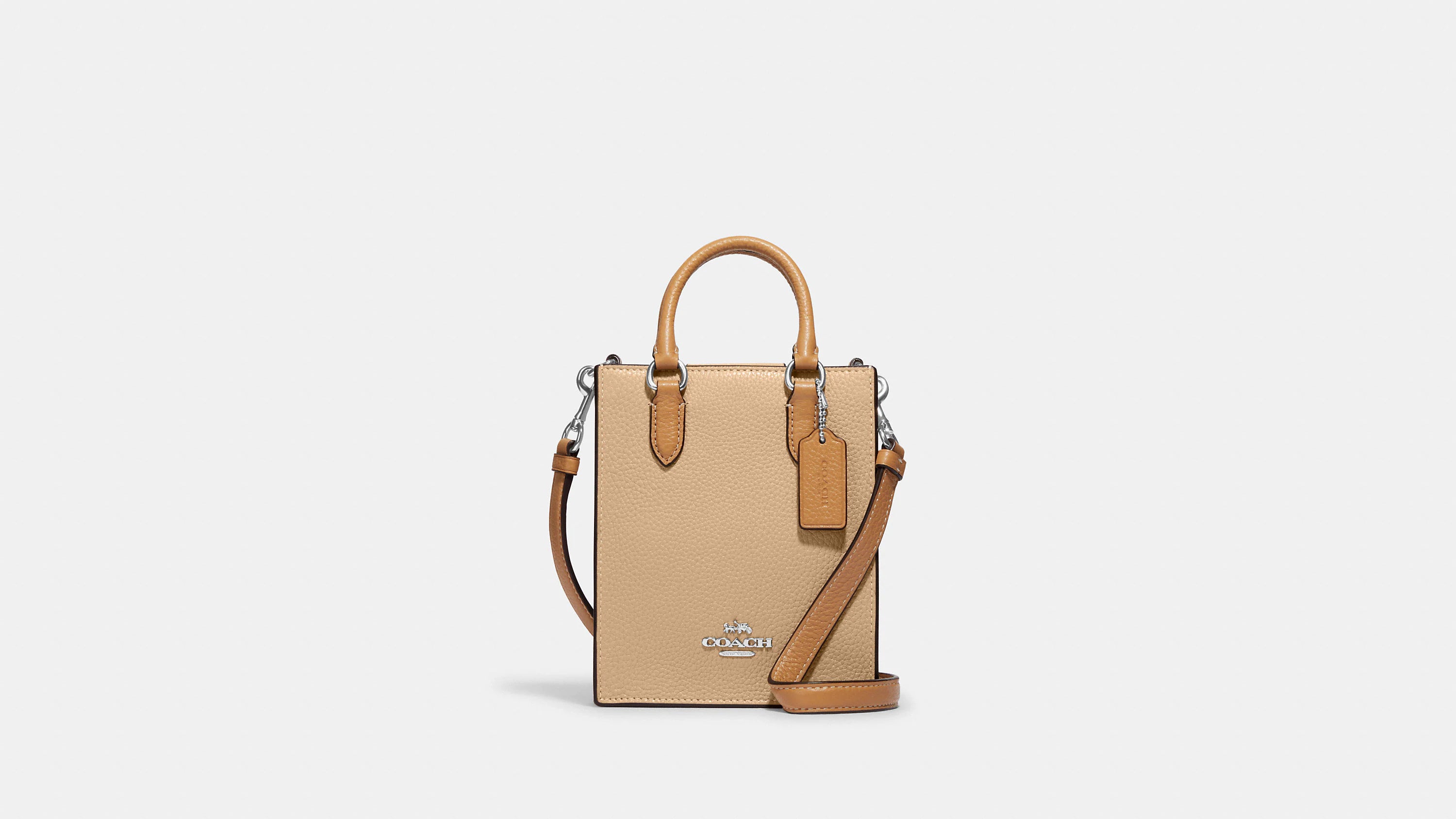 Coach North South Mini Tote